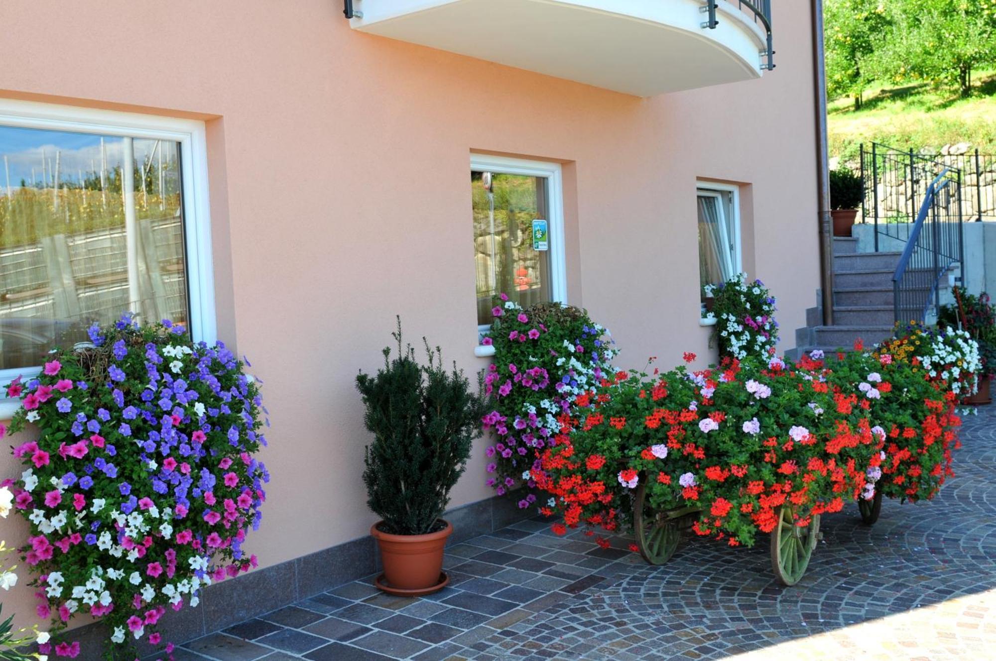 Villa Agritur Le Pergolette Tassullo Exterior foto